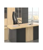 Executive Desk ВР.СР03 order